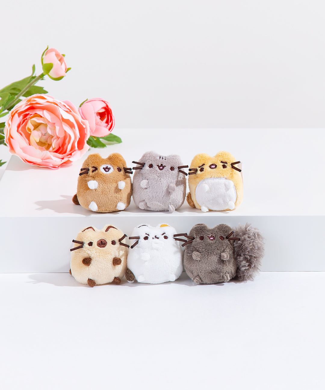 Pusheen_I_Love_Kitties_Plush_Collectors_Set_009_web