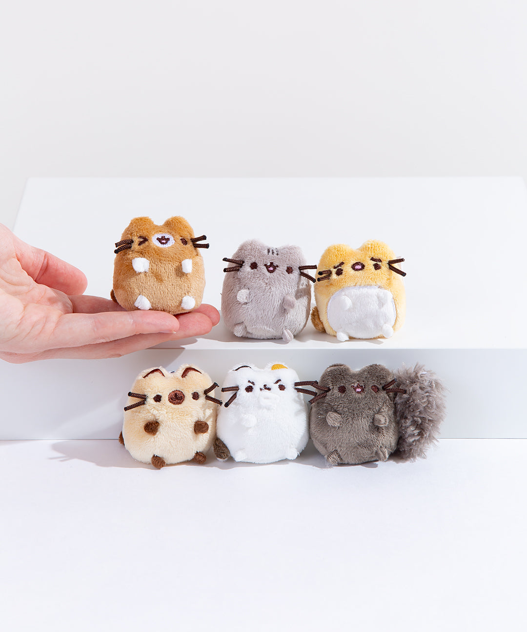 Pusheen_I_Love_Kitties_Plush_Collectors_Set_010_web