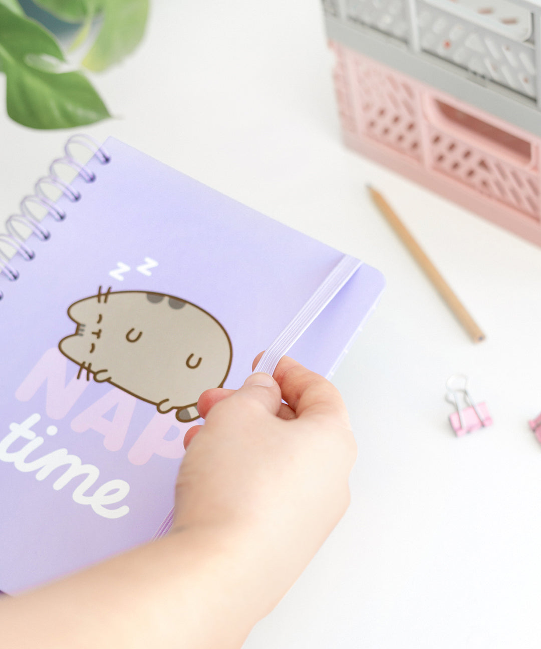 Pusheen_Naptime_Notebook_006_web