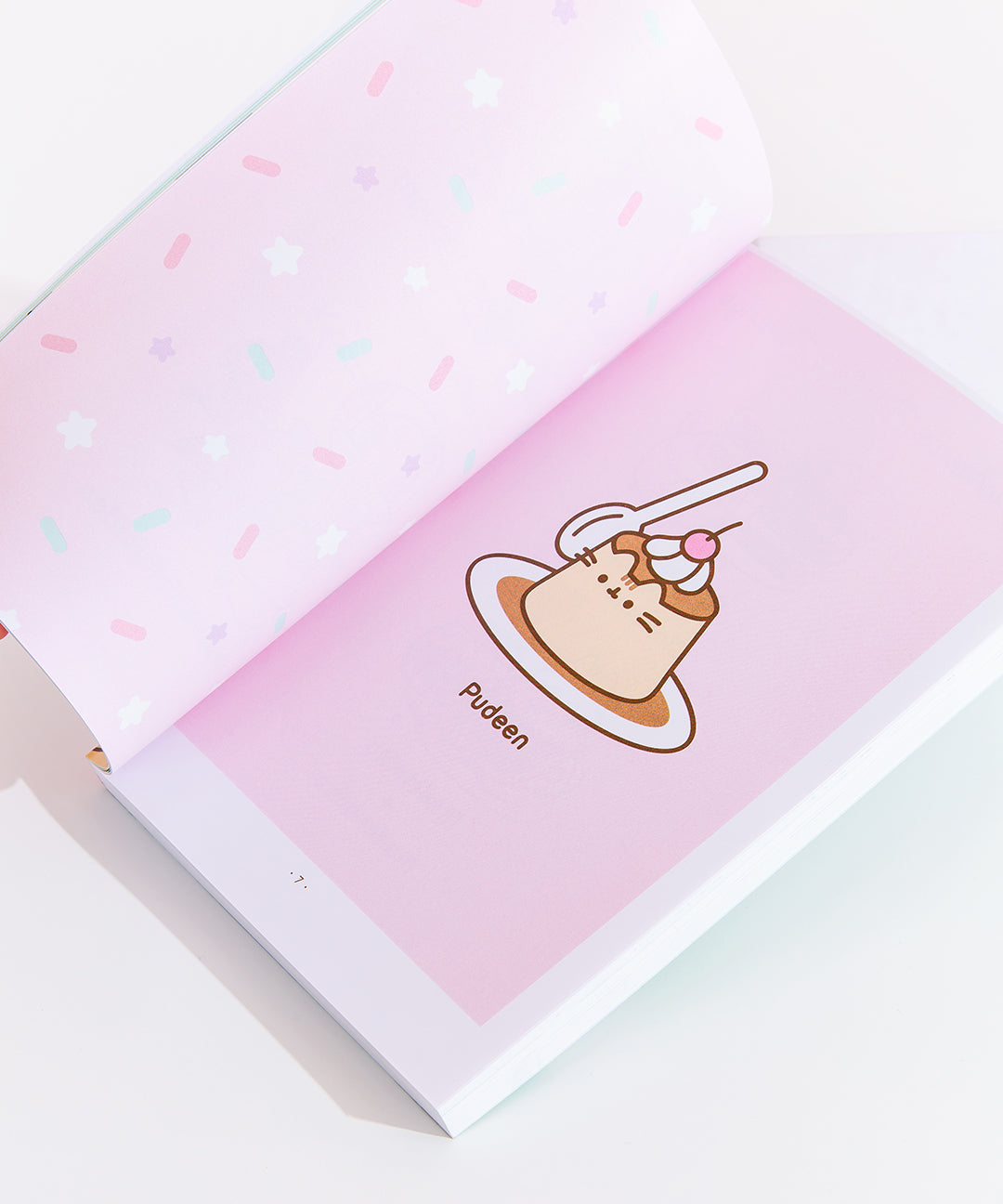 Pusheen_The_Cats_Guide_to_Everything_014_web