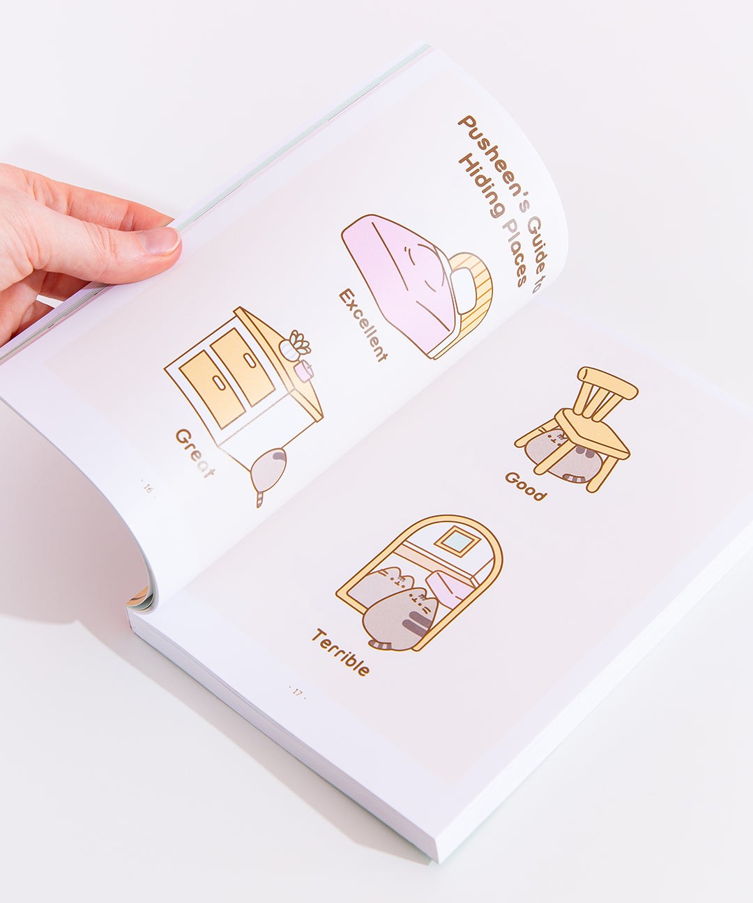 Pusheen_The_Cats_Guide_to_Everything_015_web