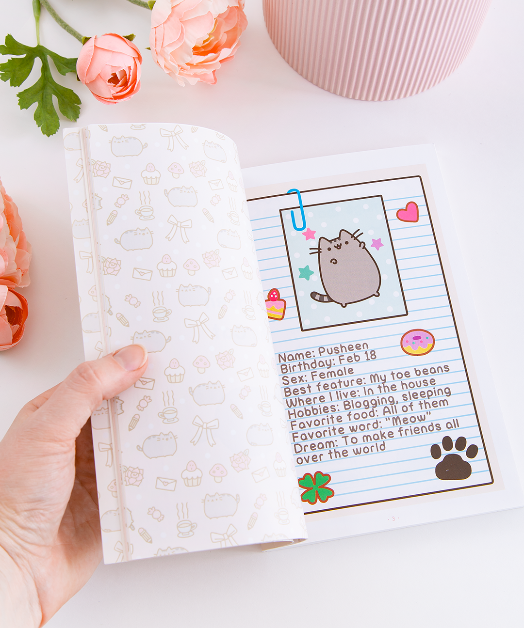 Pusheen_book_000
