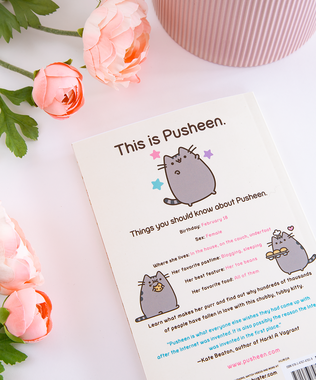 Pusheen_book_001