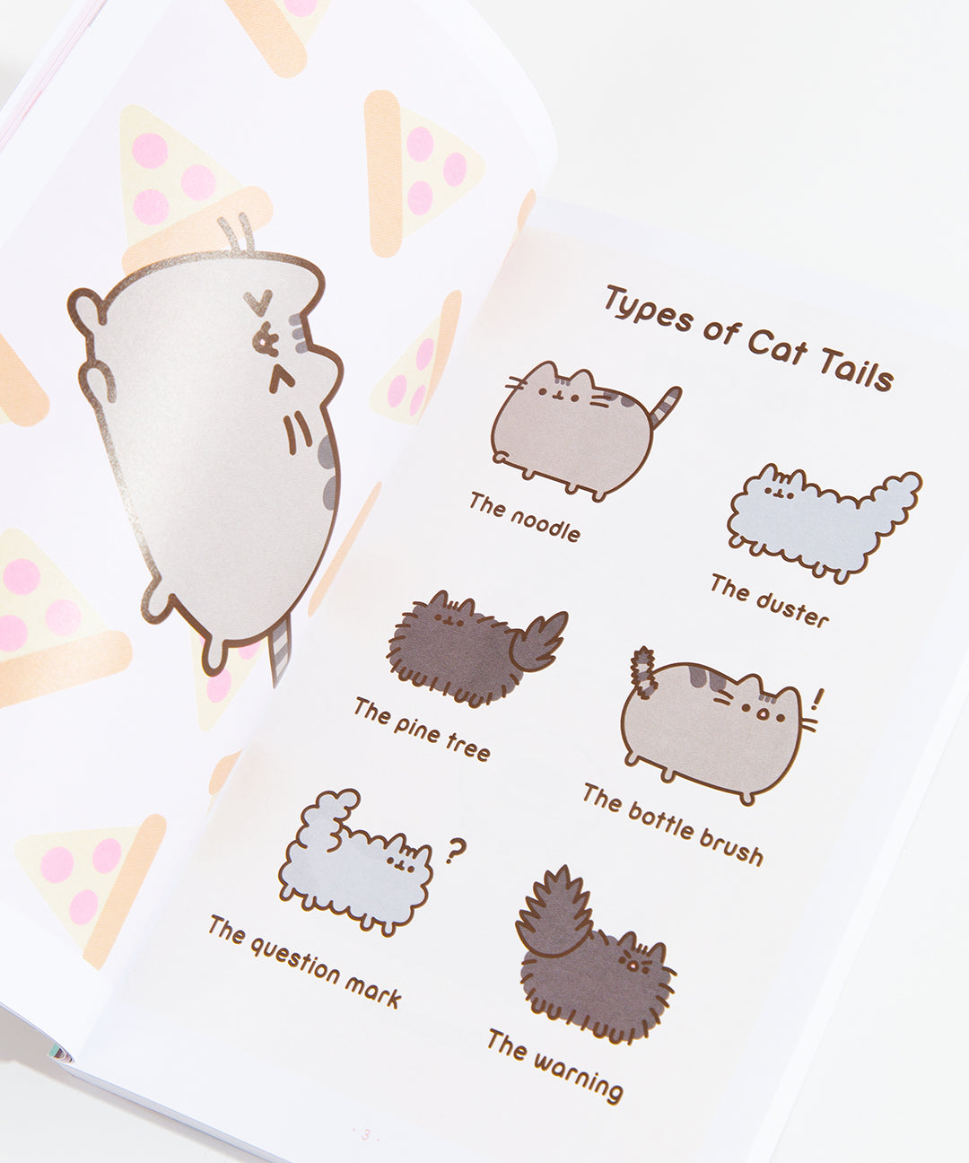 The_Many_Lives_Of_Pusheen_Book_007_web